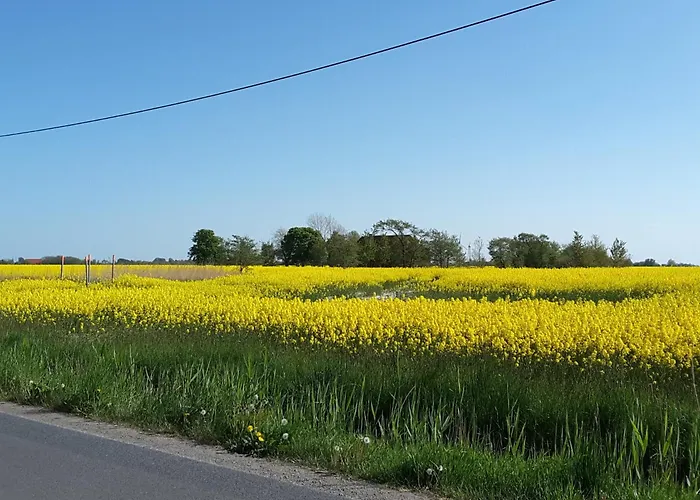 公寓 Sonnenaufgang 布特亚丁根